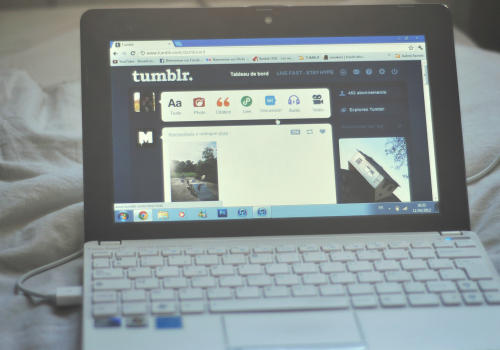 Life is Tumblr (adapted) (Image by Romain Toornier [CC BY 2.0] via flickr)