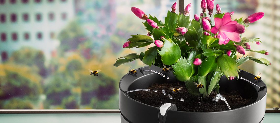 Parrot-Pot-Test-Applepiloten-3