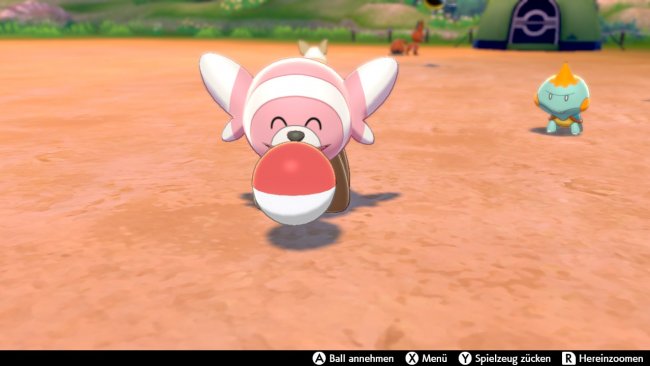 Screenshot aus Pokémon Schwert von Philipp Bader. Spiel von Nintendo