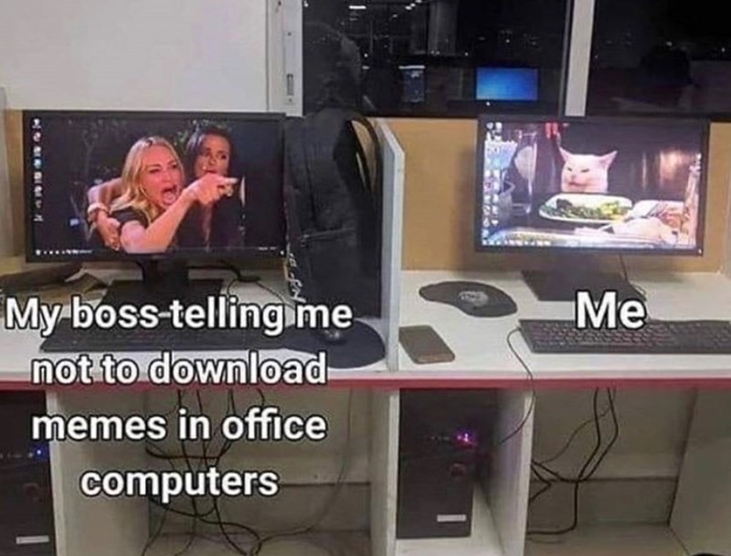 cat_meme3