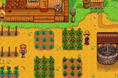 Screenshot aus Stardew Valley. Der Spieler steht vor seinen Feldern, die umzäunt sind und einen Brunnen in der Nähe haben.